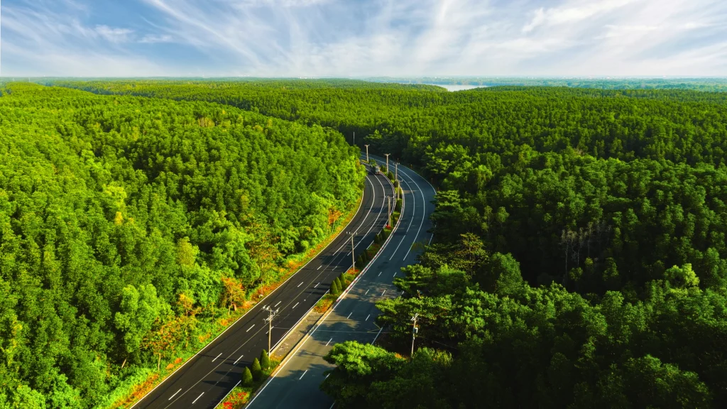 Vinhomes Green Paradise tạo chú ý với cư dân cao tuổi 1 He sinh thai rung ngap man tai Can Gio